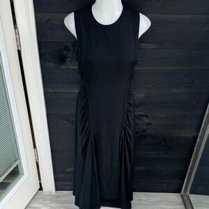 ALC black dress‎ 100% silk Ruched Side